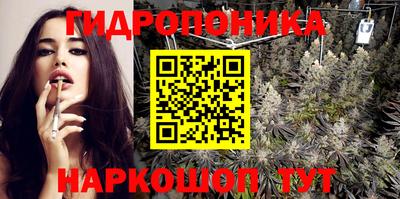 гидропоника Будённовск