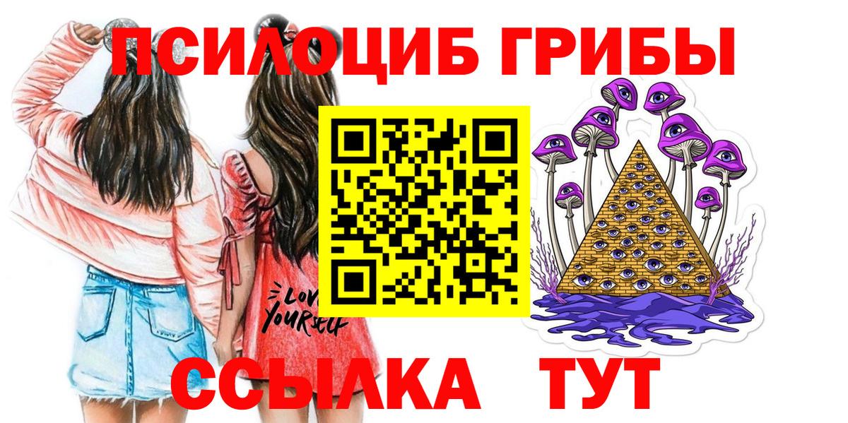 Галлюциногенные грибы Psilocybine cubensis  Вход с VPN  Нижнеудинск 