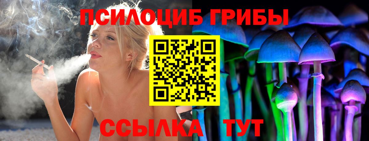 Галлюциногенные грибы мухоморы Нижнеудинск